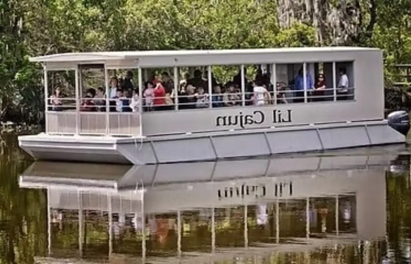 Pontoon Swamp Boat Tour New Orleans